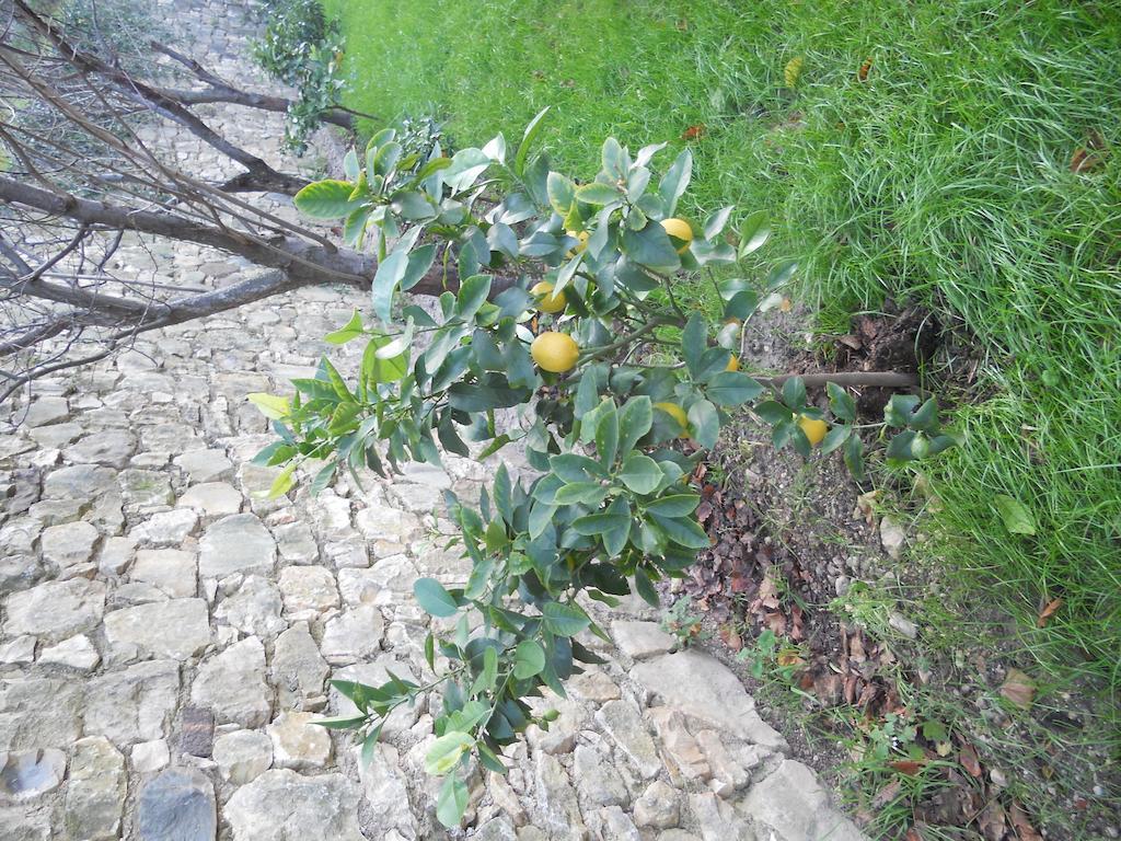 Casa Maya Brenzone sul Garda Eksteriør billede